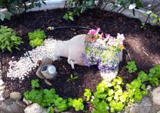 Il giardino